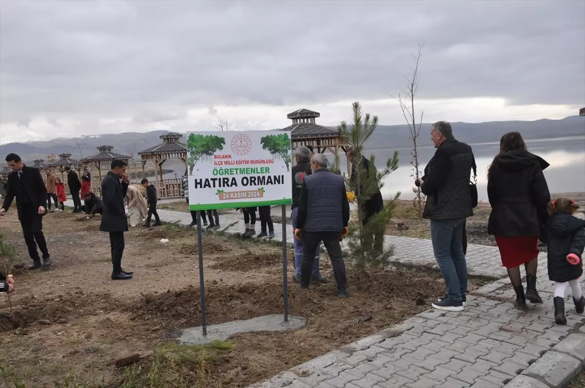 Muş’ta Öğretmenler Hatıra Ormanı Kuruldu